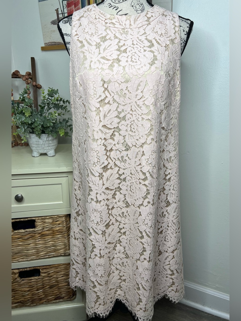 Brand New-Vince Camuto Floral Lace with Open Back Dress
